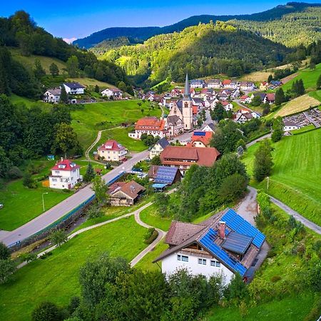 Steepleview House, Schwarzwaldblick Apartment - Spacious & Peaceful Bad Peterstal-Griesbach Exterior photo