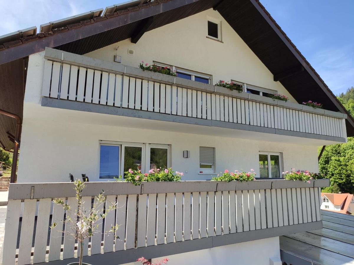 Steepleview House, Schwarzwaldblick Apartment - Spacious & Peaceful Bad Peterstal-Griesbach Exterior photo